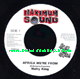 7" Africa We're From/Version - NATTY KING