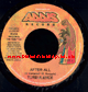 7" After All/Frontline Riddim - TURBULENCE