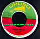 7" Bush Weed/Lambs bread - PAULINE