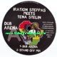 12" Dub Arena [4 mixes] IRATION STEPPAS meets TENA STELIN