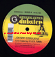 12" Fally Ranking [V.I.V.E.K. Remix]/Fally Ranking [V.I.V.E.K. S