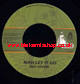 7" Nah Let It Go/Dub - RAS SEVEN