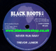 7" Never Run Away/Live & Love In Unity - TREVOR JUNIOR/JUNIOR RE