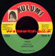 7" Vibes/Version - DANDY LION