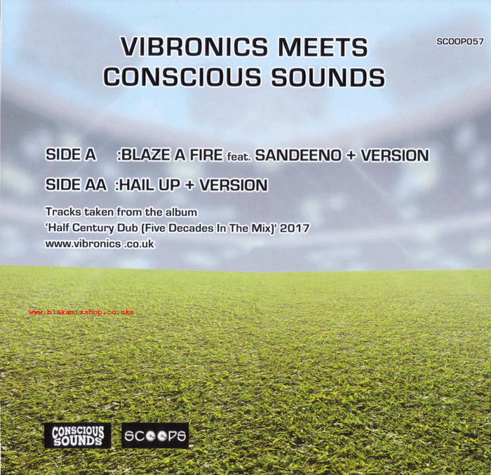 10" Blaze A Fire/Hail Up- VIBRONICS meet CONSCIOUS SOUNDS feat S