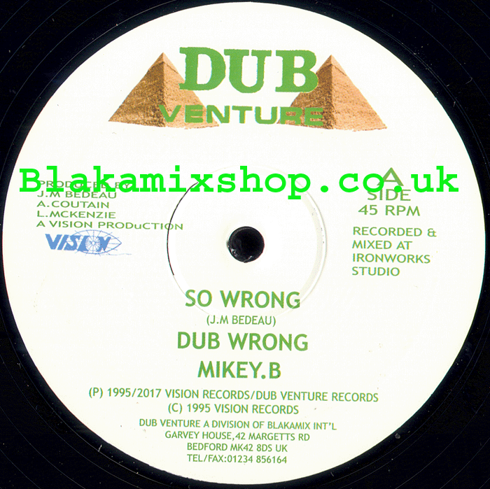 12" So Wrong/Just The Two Of Us- MIKEY B