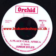 7" A Place Call Africa/Version JUNIOR BYLES