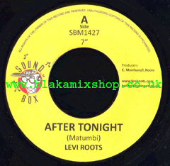 7" After Tonight/Dub - LEVI ROOTS