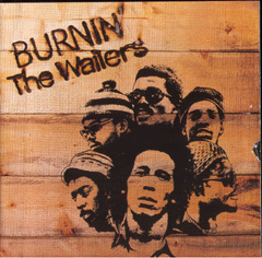 CD Burnin'- THE WAILERS