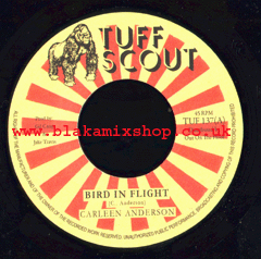 7" Bird In Flight/Dub - CARLEEN ANDERSON