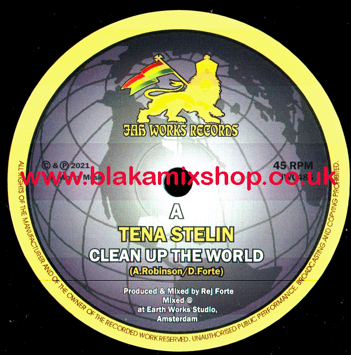 7" Clean Up The World/Ecological Dub TENA STELIN