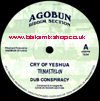 12" Cry Of Yeshua/Digital World TENASTELIN