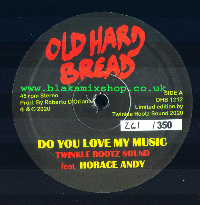 12" Do You Love My Music/Version TWINKLE ROOTZ SOUND ft. HORAC