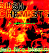 LP Dub Fire Blazing BUSH CHEMISTS