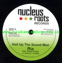 7" Hail Up The Sound Man/Version RIA