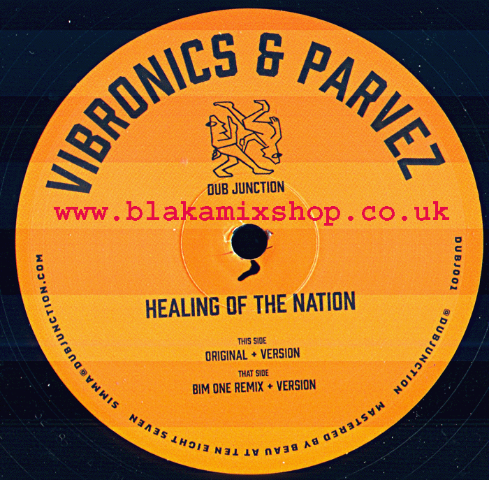 12" Healing Of The Nation/Style & Fashion VIBRONICS ft. PARVEZ