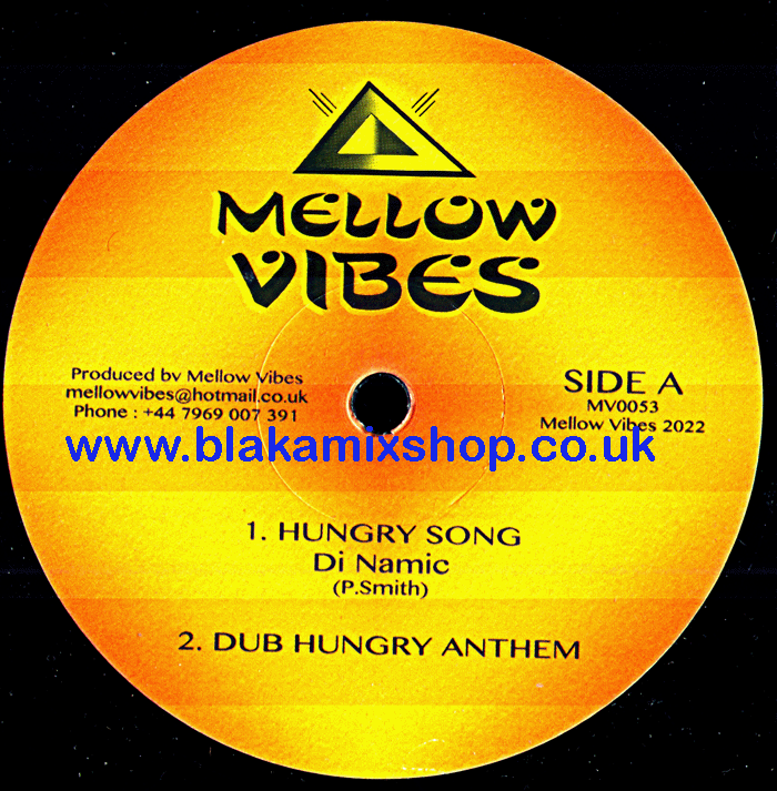 12" Hungry Song/30 Second Selector DI NAMIC/VIVAN JONES