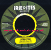 7" I Bun Police/She Loves Money LUTAN FYAH/KONSHENS