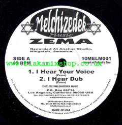 10" I Hear Your Voice/Their Own Sight - ZEMA