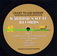 10" I Will Never Know/Warrior SAMMY GOLD/ZED I