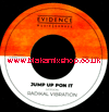 7" Jump Up Pon It/Version BROTHER CULTURE/RADIKAL VIBRATION