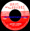 7" Jupiter's Garden/Asteroid Field 1 COSMIC SHUFFLING