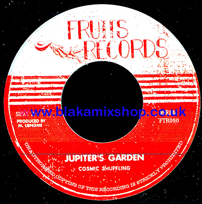 7" Jupiter's Garden/Asteroid Field 1 COSMIC SHUFFLING