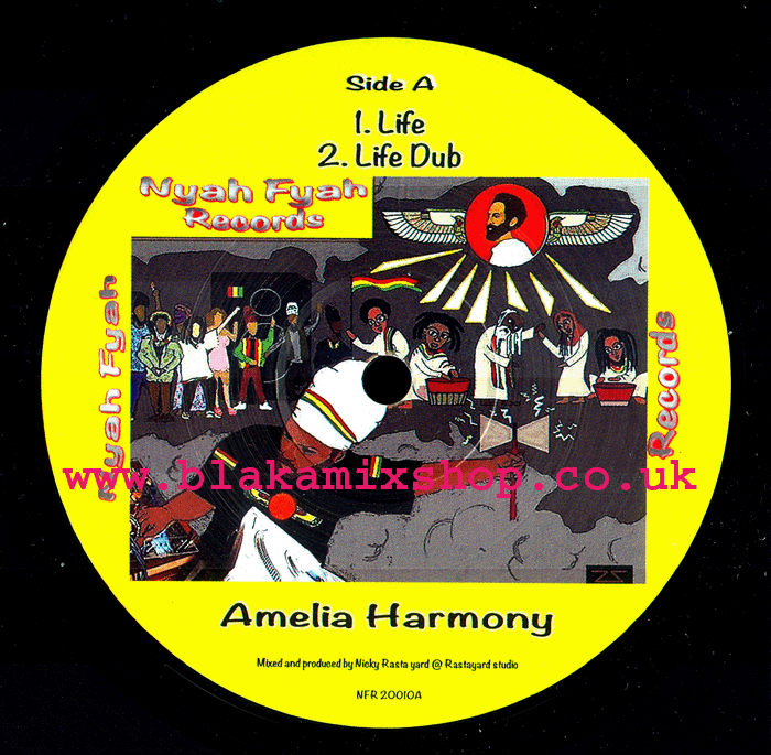 10" Life/Part Of Life AMELIA HARMONY/KAI DUB meets RASTAYARD S