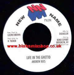 7" Life In The Ghetto/Version - ANDREW BEES
