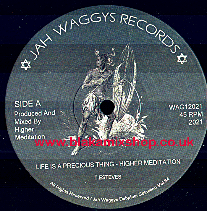 12" Life Is A Precious Thing/Witness Of Jah HIGHER MEDITATION/