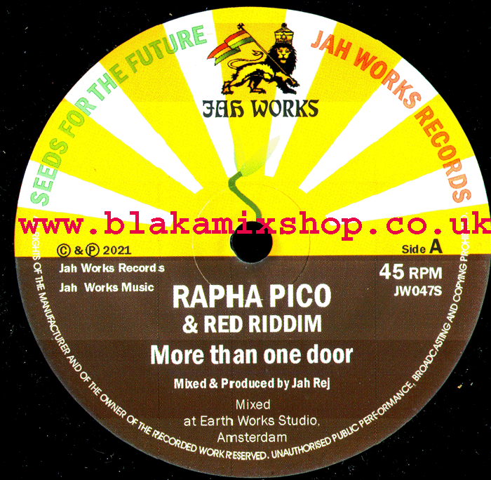 7" More Than One Door/Doorways Of Dub RAPHA PICO