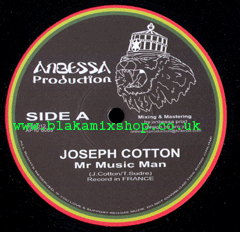 10" Mr Music Man/Dub Version - JOSEPH COTTON/NO KILLA MAN