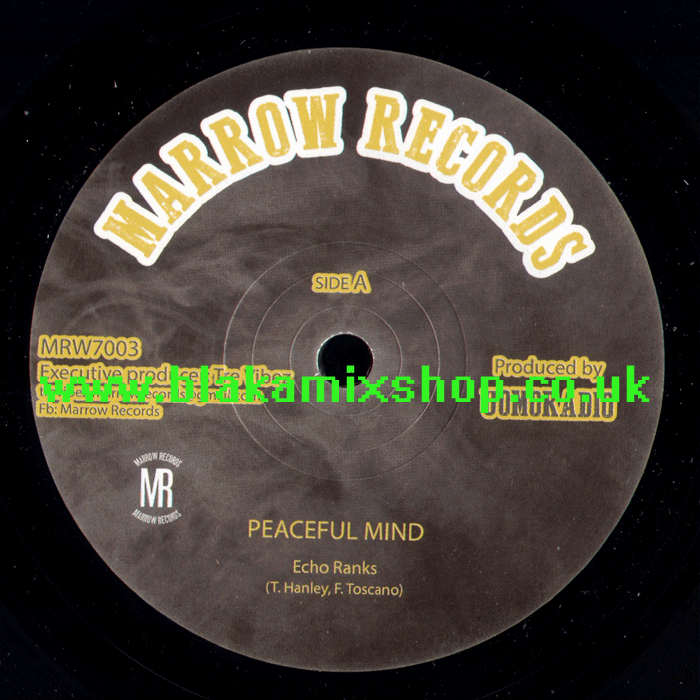 7" Peaceful Mind/Dub ECHO RANKS