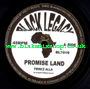 7" Promise Land/Land Of Dub- PRINCE ALLA/KEETY ROOTS