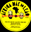 7" Promised Land [Binghi Mix]/Dub SHADES OF BLACK