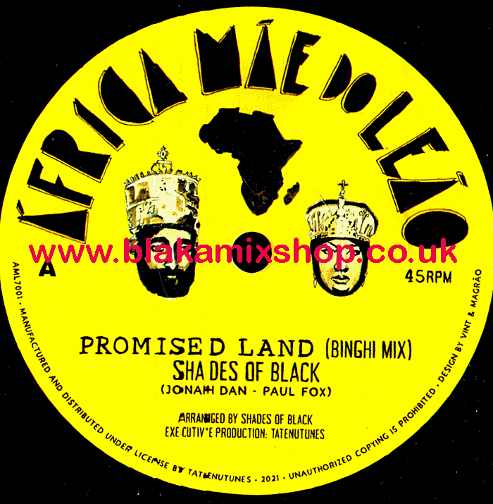 7" Promised Land [Binghi Mix]/Dub SHADES OF BLACK