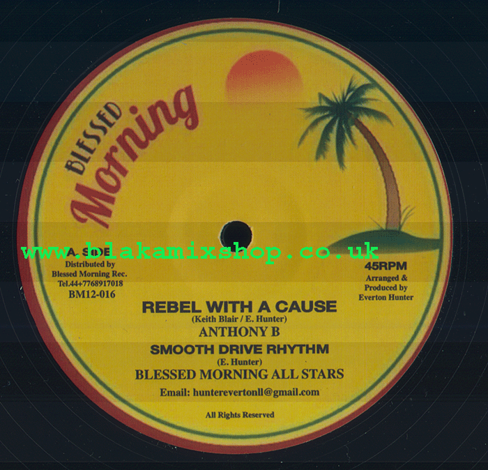 12" Rebel With A Cause/Tek It  ANTHONY B/QUEEN IFRICA