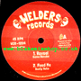 12" Reveal/Feed Me/Feeda Dub SAMA RENUKA/DUSTY WATA/ROOTS POWA