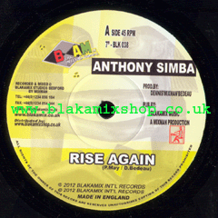 7" Rise Again[Follow Jah Line]/Rise Again I-Sion ANTHONY SIMBA