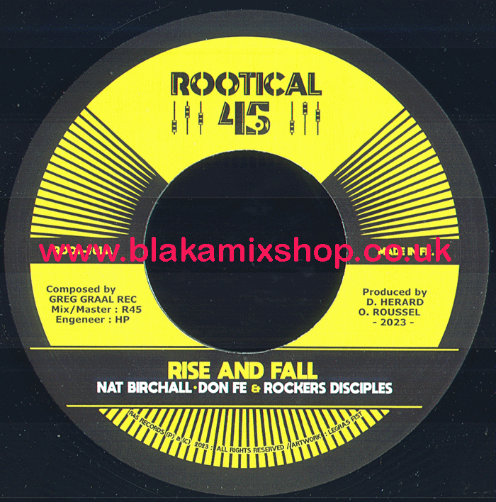 7" Rise And Fall/Dub NAT BIRCHALL, DON FE & ROCKERS DISCIPLES