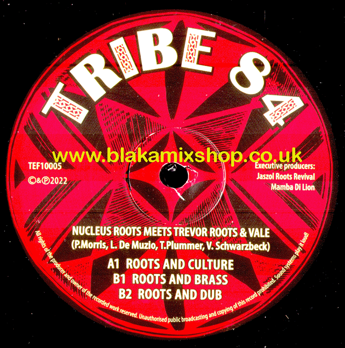 10" Roots And Culture [3 Mixes] NUCLEUS ROOTS meets TREVOR ROO
