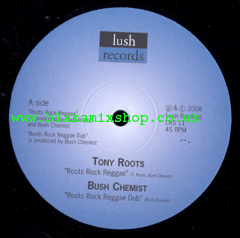 10" Roots Rock Reggae/Youths Dem Care - TONY ROOTS/PABLO DIAMOND