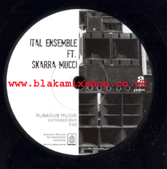 7" Rubadub Musik/Version ITAL ENSEMBLE ft.SKARRA MUCCI