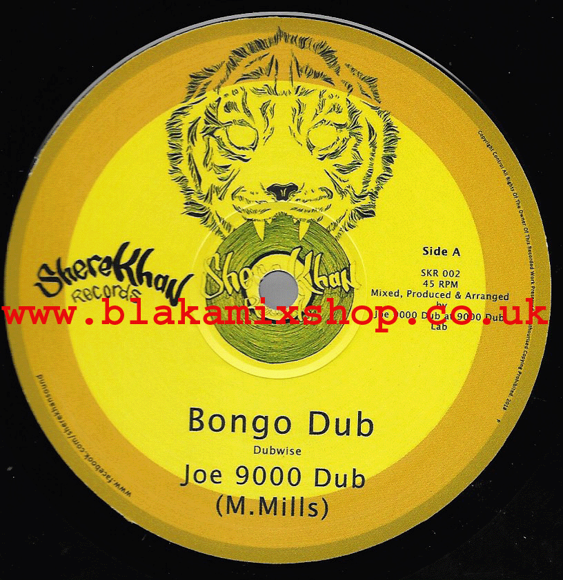 12" Bongo Dub/Time Dub-  JOE 9000