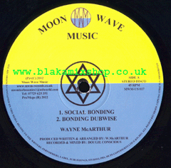 12" Social Bonding/Natural Forces - WAYNE MCARTHUR