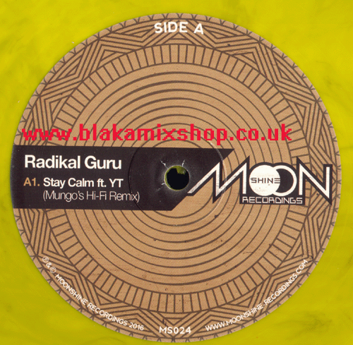 12" Stay Calm/Earthwalker YT/RADIKAL GURU