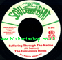 7" Suffering Through The Nation/Version THE CONSCIOUS MINDS