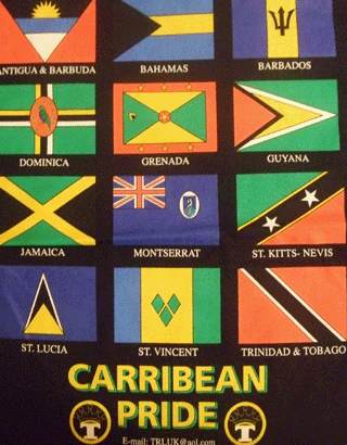 TS CARRIBEAN PRIDE - T SHIRT