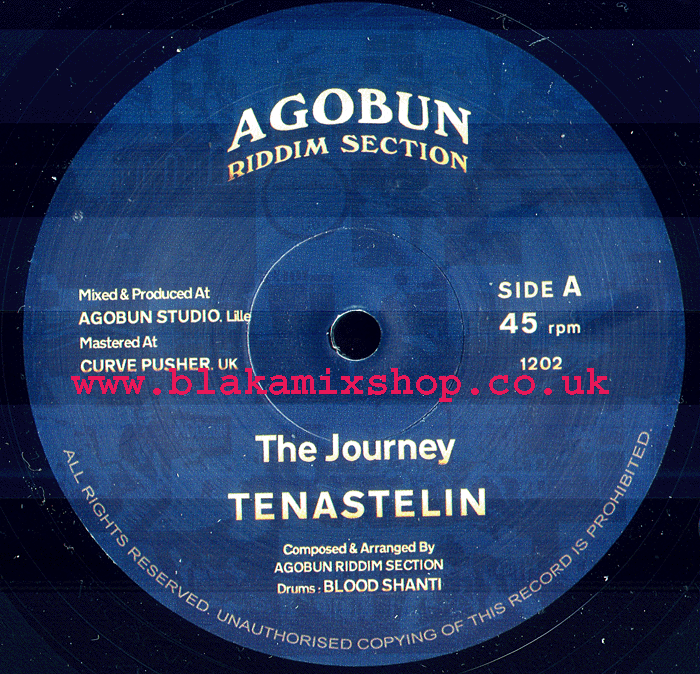 12" The Journey/Up In The Sky TENASTELIN
