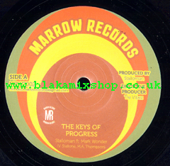 7" The Keys Of Progress/Dub - STALLOMAN ft. MARK WONDER